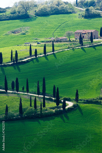 Obraz na płótnie tuscany nature w salonie