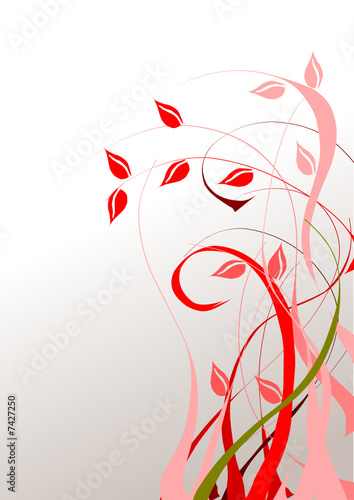 illustration vectorielle florale rouge et rose