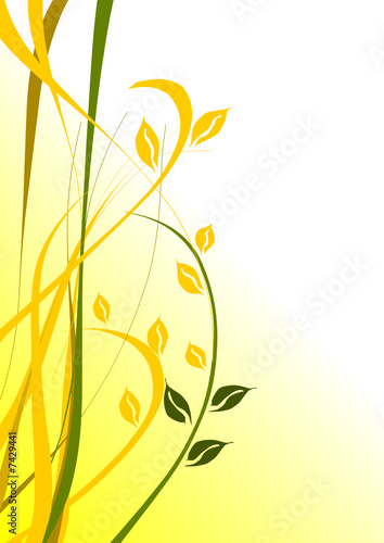 illustration vectorielle florale