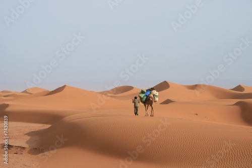 Chameau et chamelier dans les dunes du Sahara