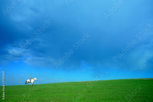 Rider on white horse
