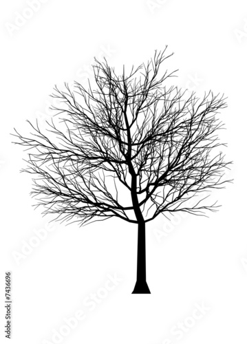 Tree Silhouette 3 © bluekat