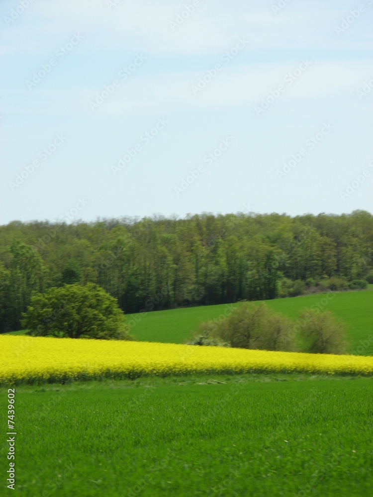 Obraz premium campagne