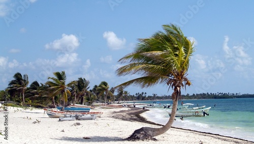 Quadro em tela plage de Punta allen