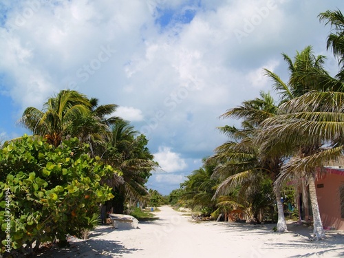 Fotografie punta allen