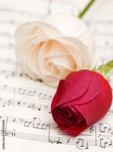 Two roses on the musical notes page