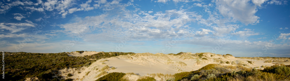 Sand Dune Panoramic