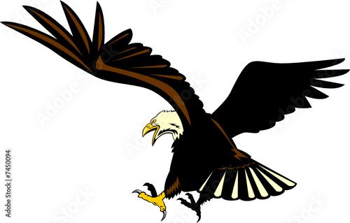 Eagle flying