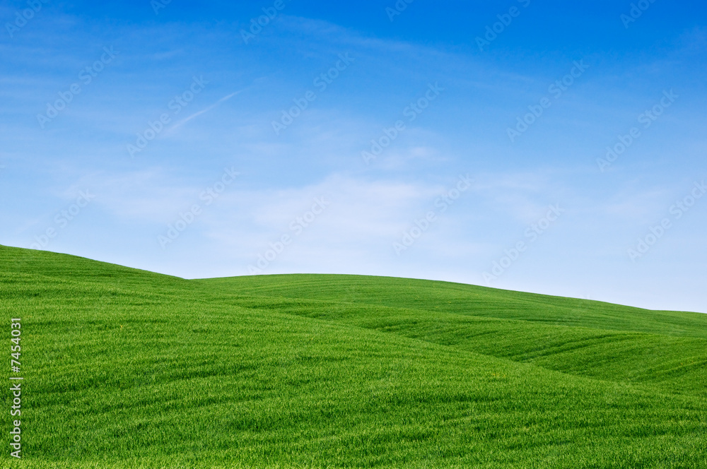 Colline verdi. Rolling green hills and blue sky