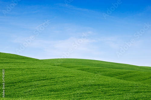 Colline verdi. Rolling green hills and blue sky photo