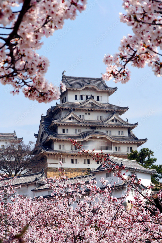 Fototapeta premium chateau japon