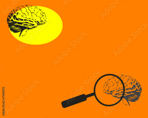 Brain and magnifying glass