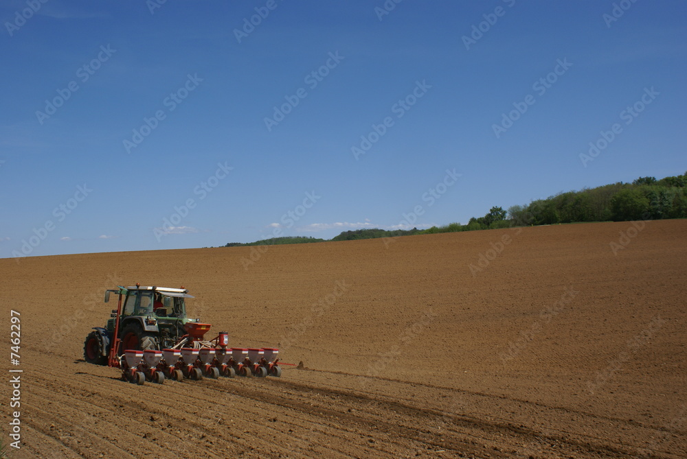 Agriculture Agriculture