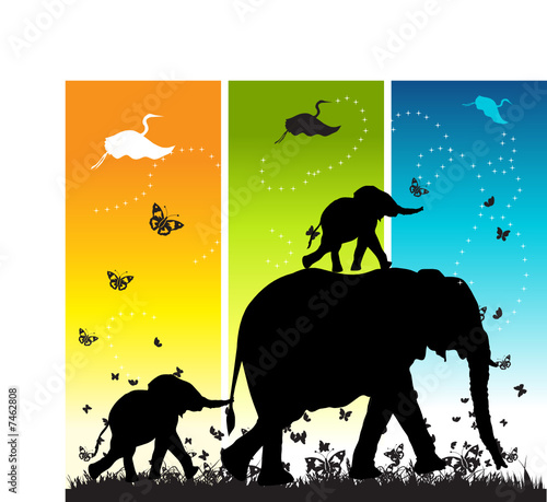 Family of elephants on nature walk