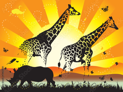 Family of giraffe on nature walk
