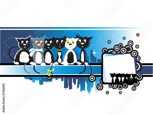 Cityscape, urban frame, kittens