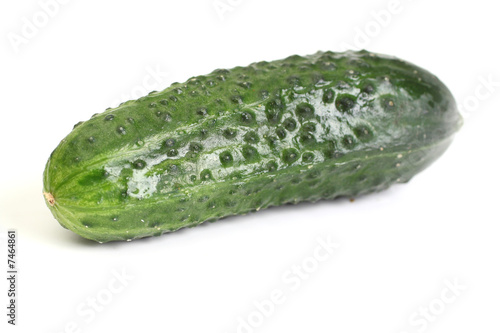 Obraz na płótnie green cucumber w salonie