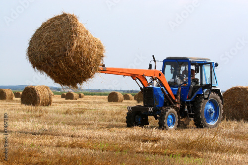 Obraz na płótnie Haymaking w salonie