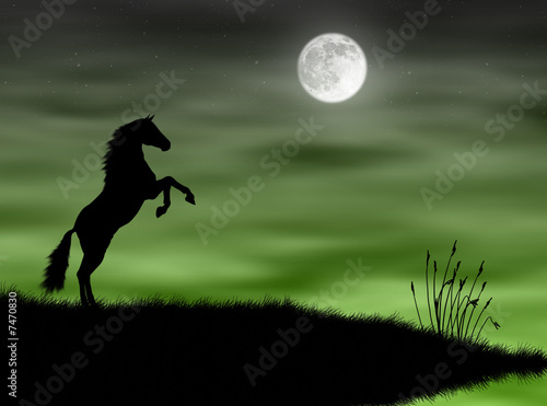 Fotografie Cavallo nella luna
