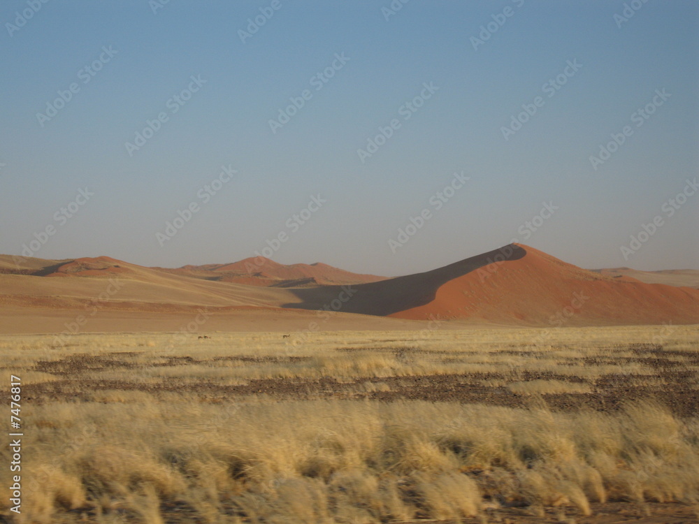 désert du namib