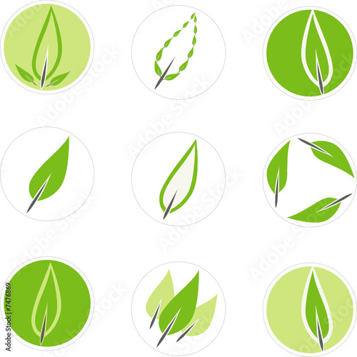 9 leaf graphics for use as logo