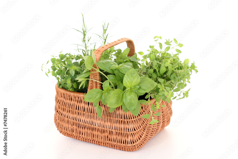 Naklejka premium basket of herbs