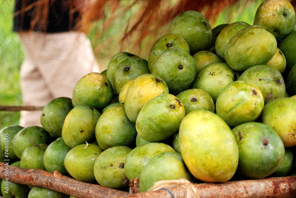 Mango Mango