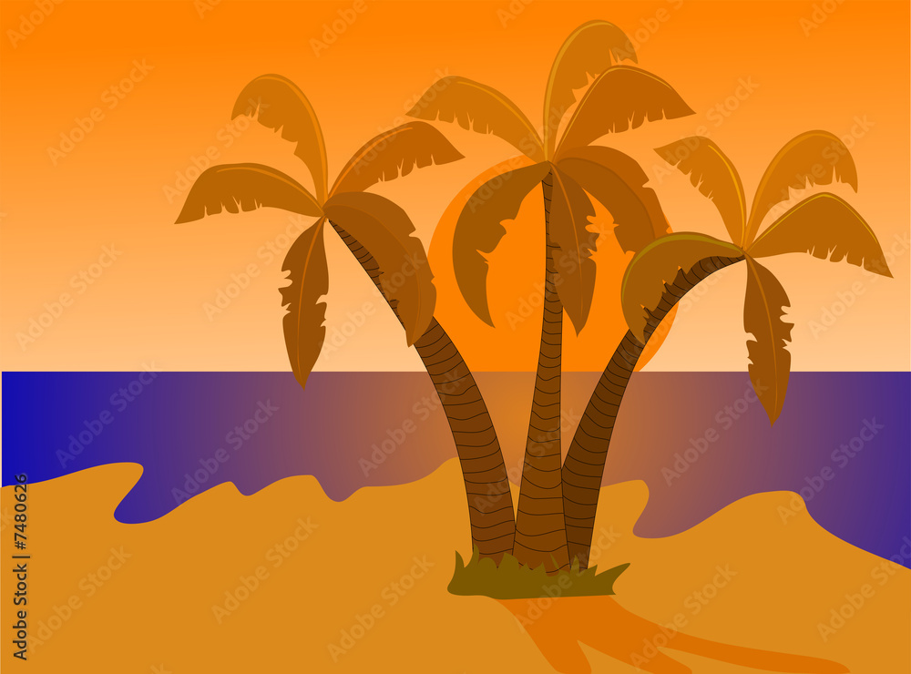 Tropical Beach at Sunset Illustration