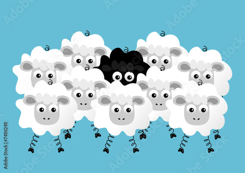 black sheep