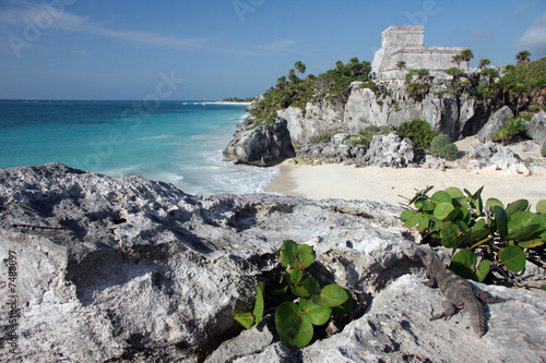 Watching Tulum ruins with a lizard