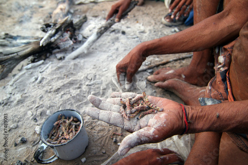 Eating caterpillars for dinner