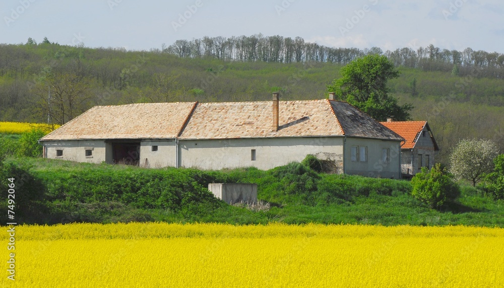 typicale campagne de Slovaquie