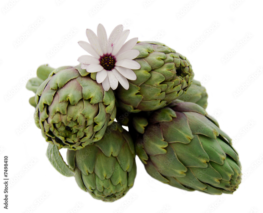 Fototapeta premium Artichauts Printanier