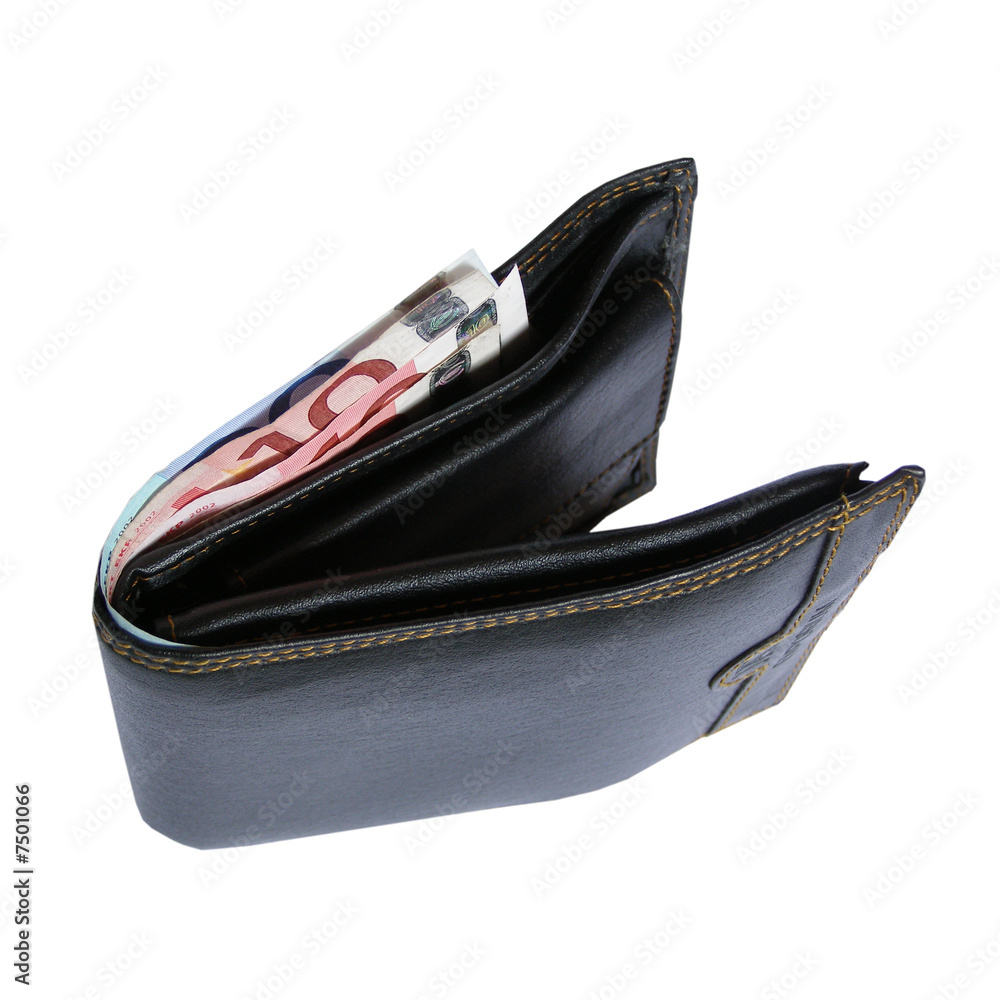 Wallet billfold purse for Euro money bank notes Wallet billfold purse for Euro money bank notes