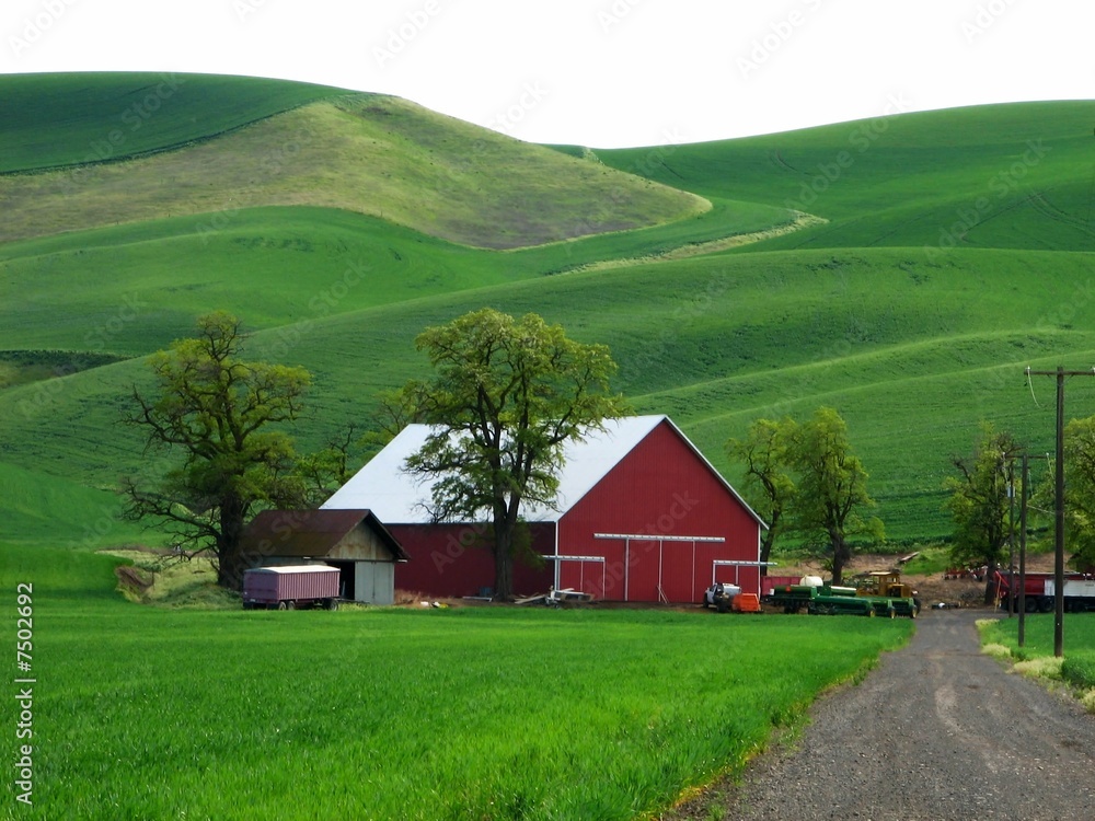 Red Barn nestled in Rolling Green Hills