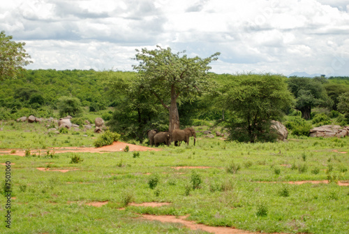 Tanzania Wld Landscape