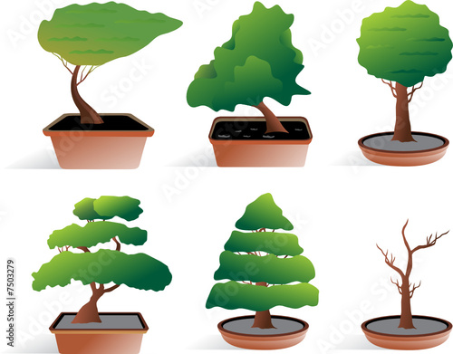 a set of decoration trees