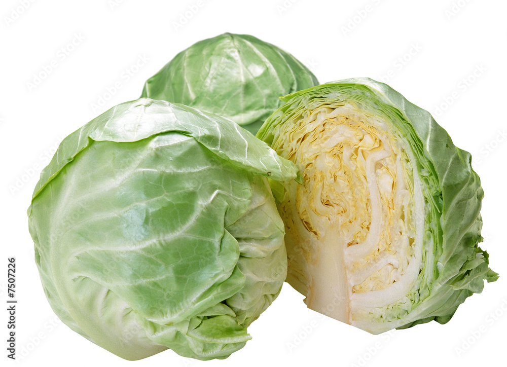 Fototapeta premium Cabbage