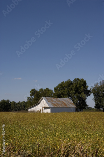 barn with soybean crop