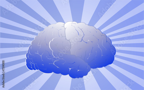 cerveau humain