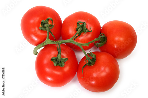 Ripe Tomatoes on Vine © Ixepop