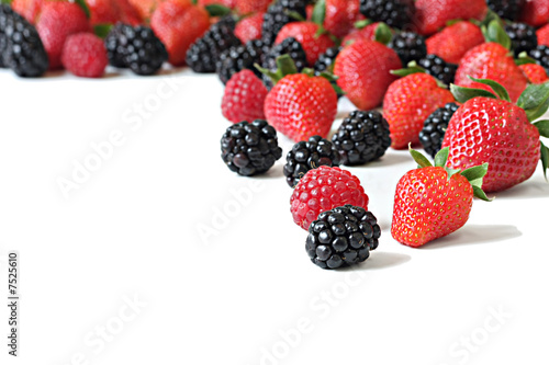 Berry variety