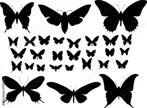 Many silhouettes of different butterflies