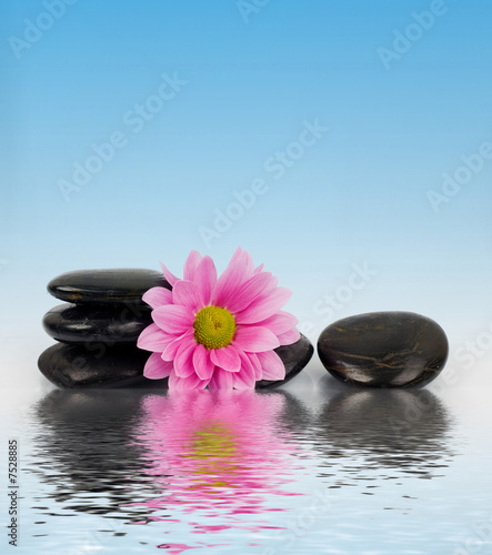 Stones and flower