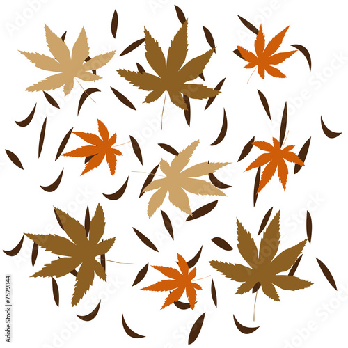 autumn leaves illustrated