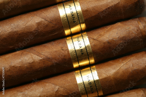 Canvas-taulu Havana Cigars Texture