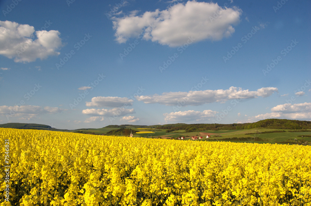 Fototapeta premium landschaft