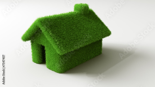 grass house