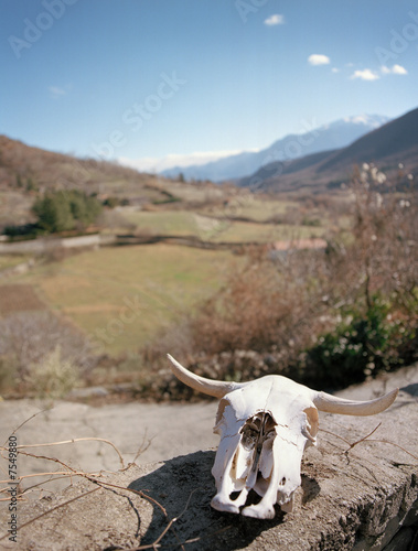 südfrankreich photo