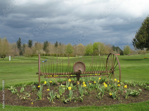 Old hay rake on golf course